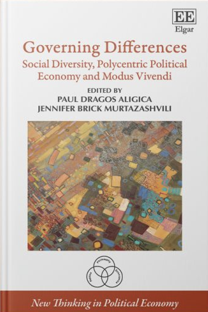 Governing Differences book