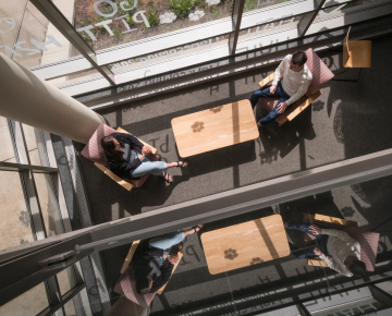Students study in a sunny room